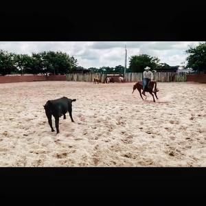 Meet your Posher, Cody